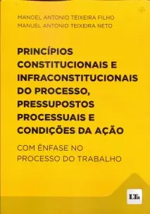 Princípios Constitucionais e Infraconstitucionais do Processo, Pressupostos Processuais e Condições