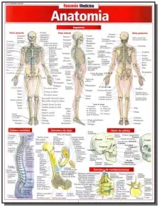 Resumao Medicina  - Anatomia